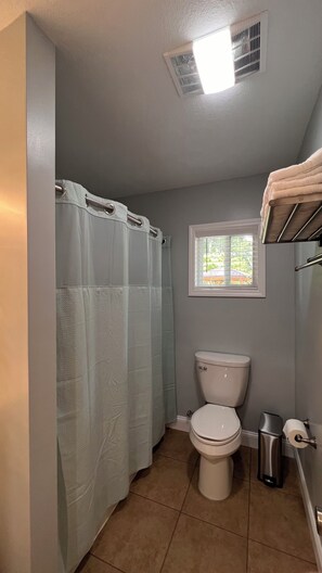 Hair dryer, towels, soap, toilet paper - Perfect private and secure 2-bedroom cottage in beautiful Arden, NC (Arden)