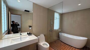 Quarto luxo, vista para o jardim | Ferros/tábuas de passar roupa, Wi-Fi de cortesia