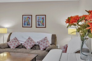 TV connectée, cheminée, livres