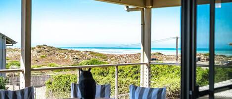 Servei de restauració a l'aire lliure