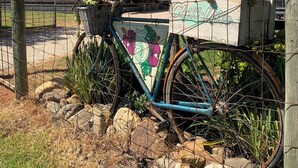 En cykel med et farverigt blomstermotiv holder ved en bygning med hvidt tag og en palme.