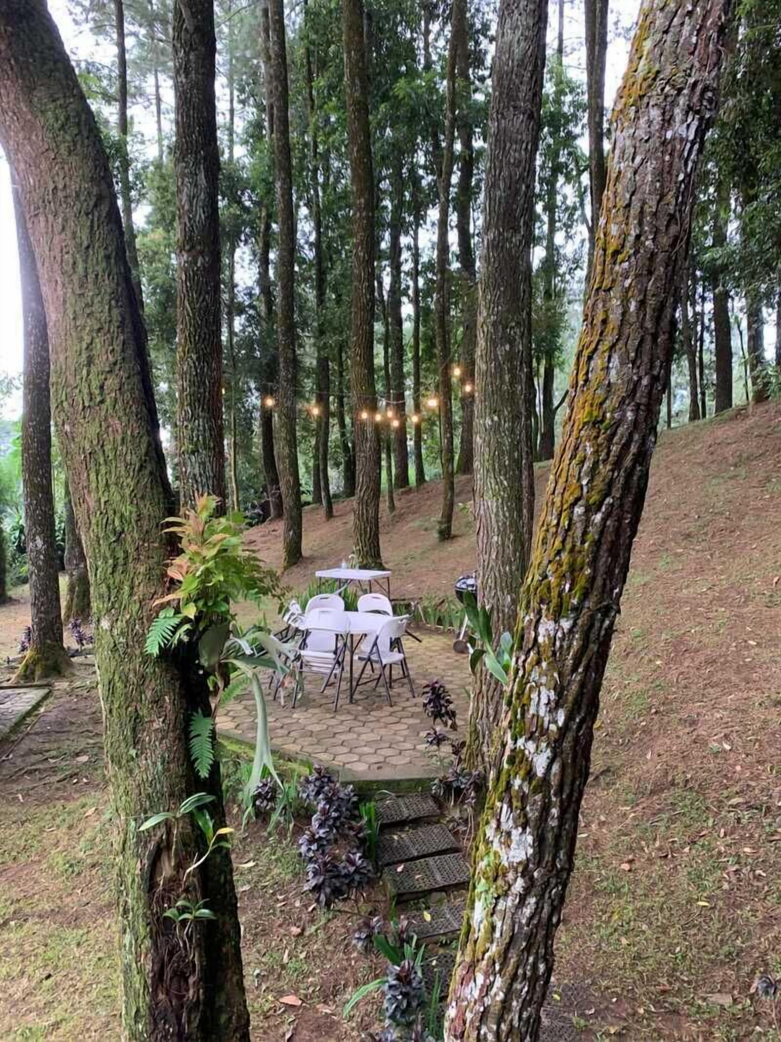 Un área de comedor al aire libre con mesa y sillas, ubicada entre árboles en un entorno boscoso natural.