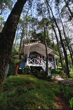 Deluxe Forest View Villa - The Pine Forest Villas (Megamendung)