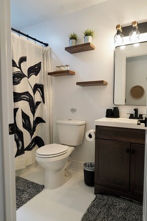 Hair dryer, towels, soap, toilet paper