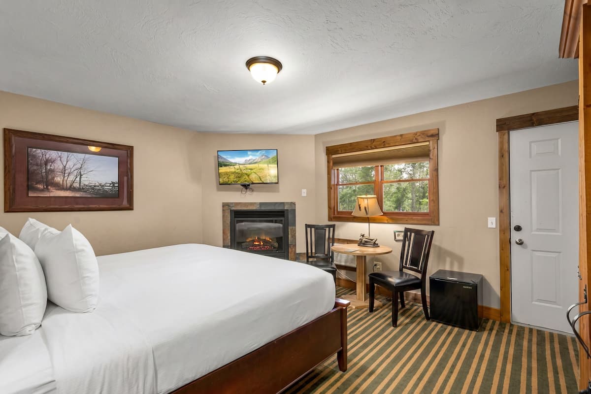 A bedroom with a bed, a fireplace, a television, a window, and a door.