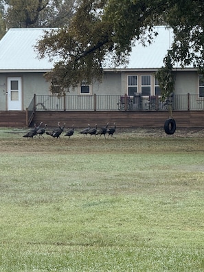 Overnattingsstedets uteområder