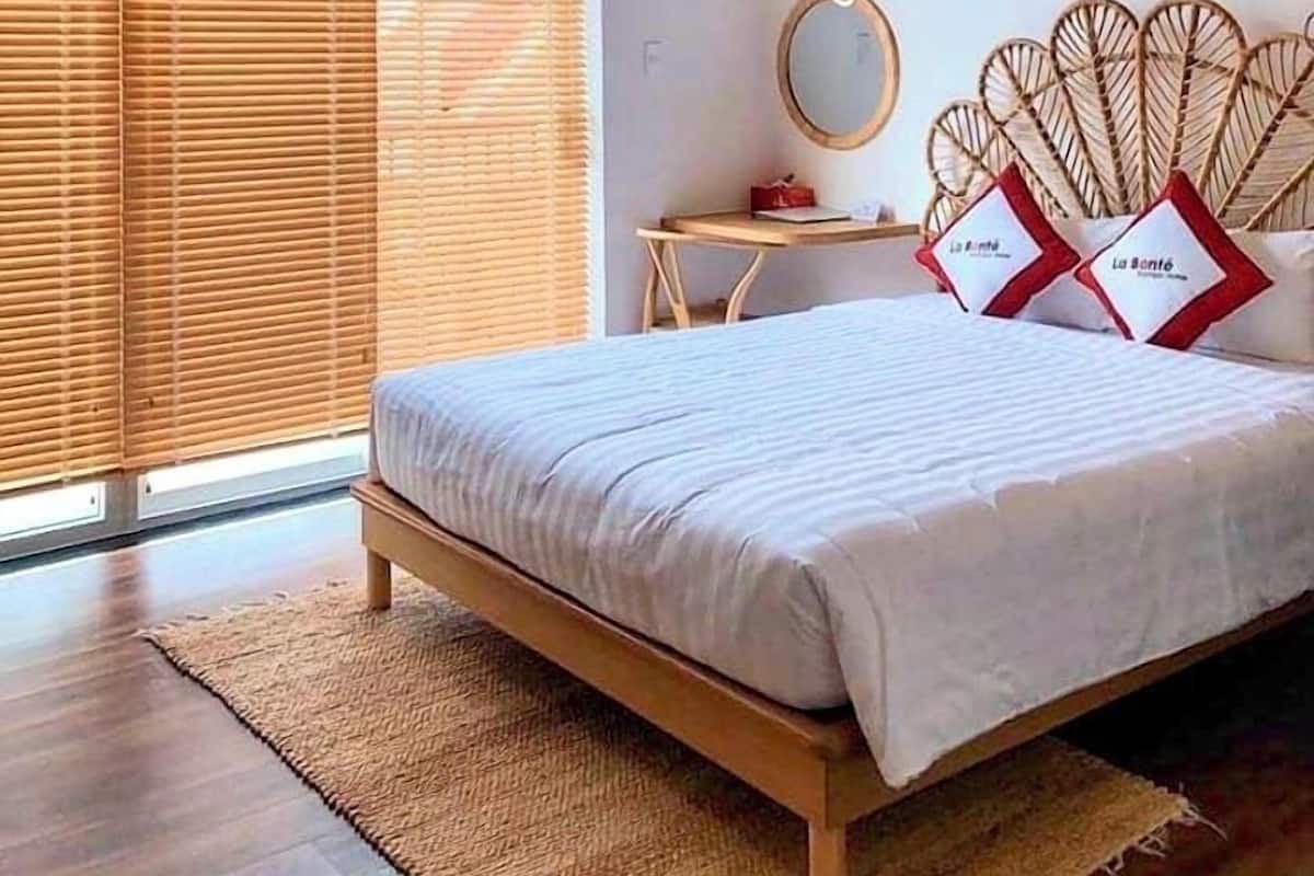 Habitación doble de lujo | Sábanas de algodón egipcio, ropa de cama de alta calidad y edredón