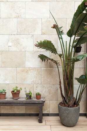 Apartament, 1 llit de matrimoni i sofà llit, cuina | Terrassa o pati