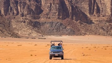 Safari