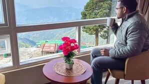 A person seated by a window with a view of a mountainous landscape, a small table with a plant, and a potted plant on the windowsill. - Rare Himalayas Mapham (Darjeeling)