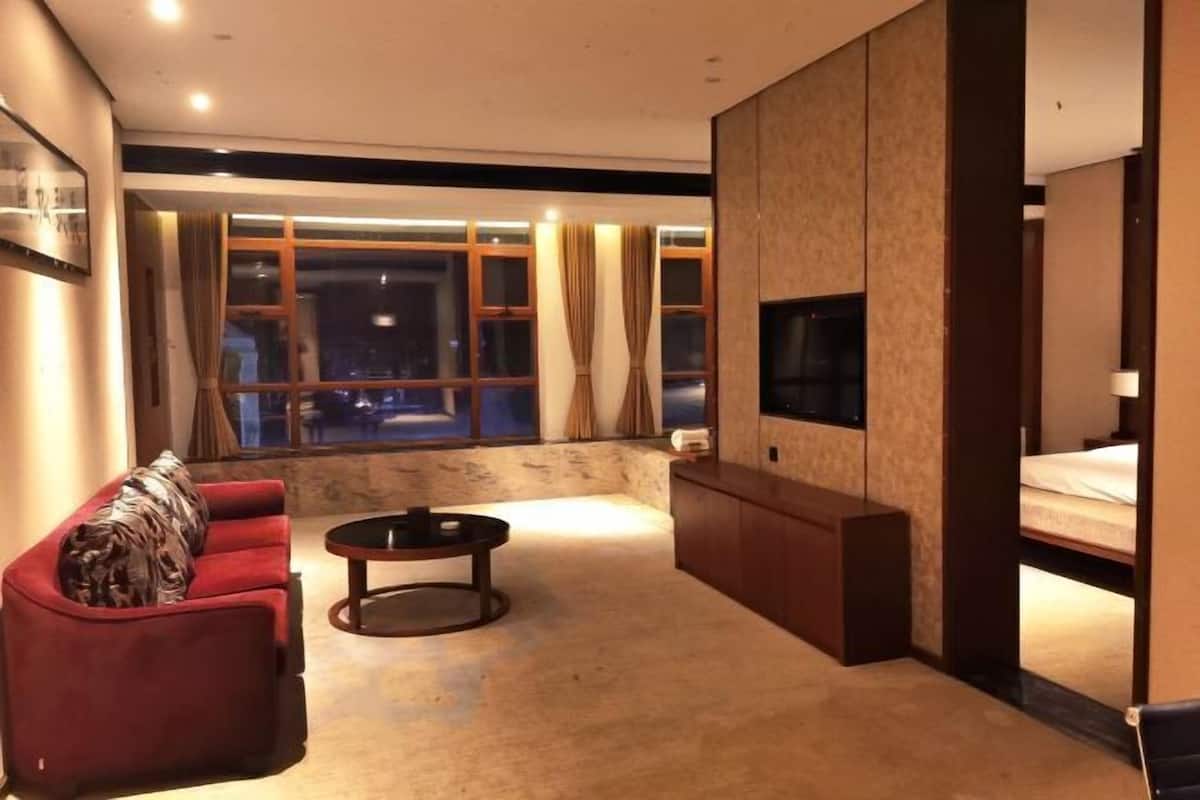 Een moderne woonkamer met een bank, een salontafel, een televisie en een bed.