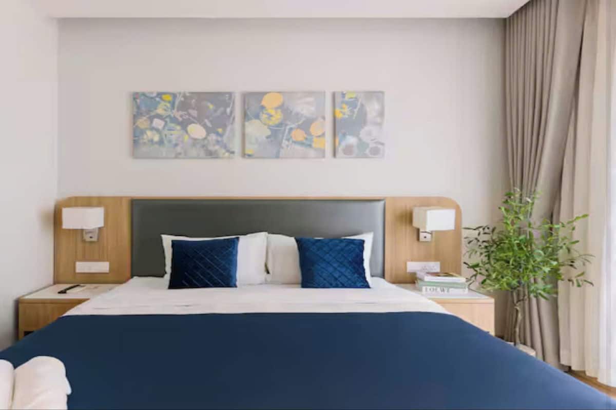 Sábanas de algodón egipcio, ropa de cama de alta calidad y cubrecamas