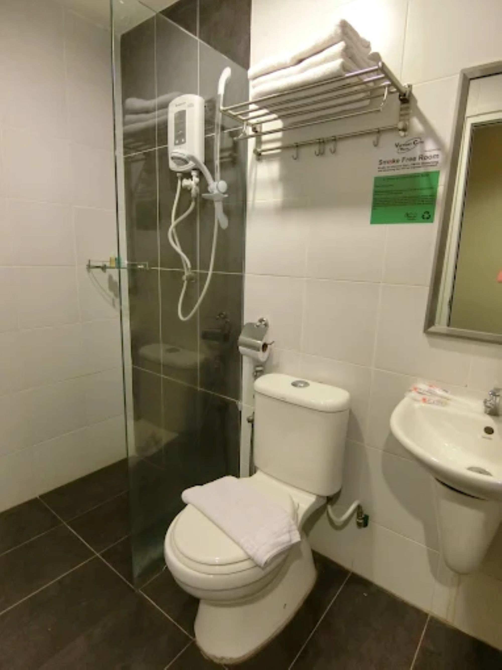 A bathroom with a glass-enclosed shower, a white toilet, a sink, and a towel rack.