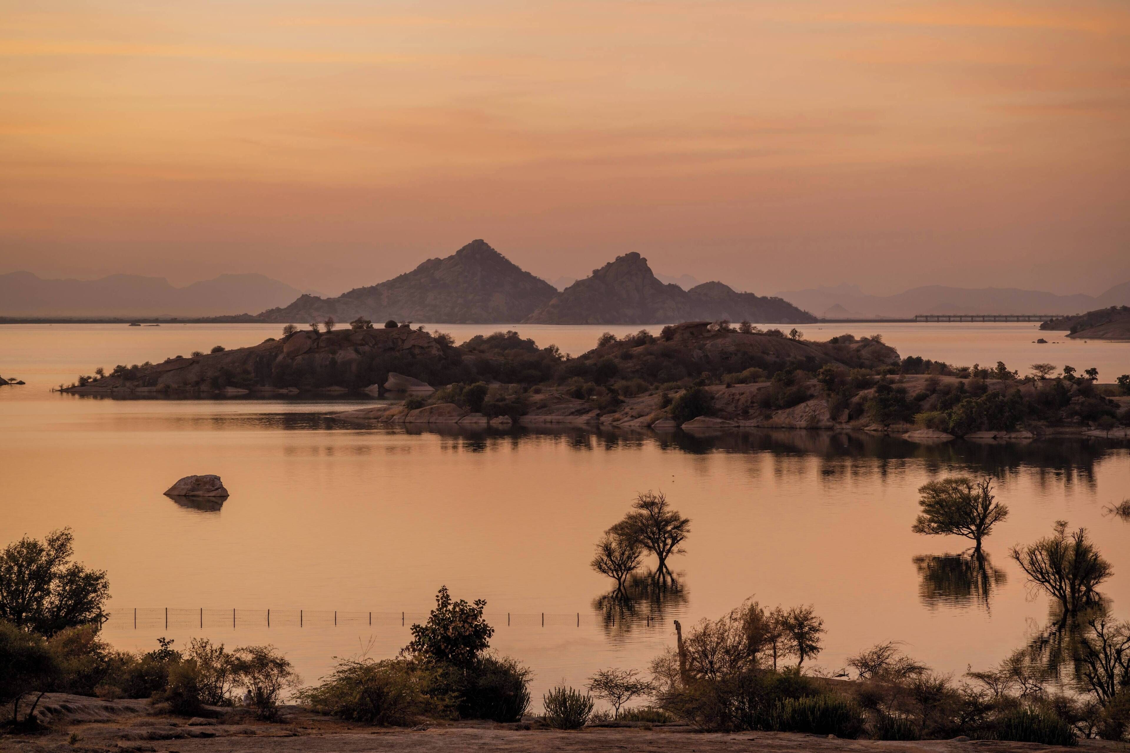 رحلة سفاري