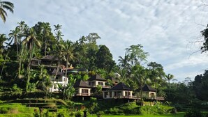 A tropical resort with multiple bungalow-style buildings surrounded by lush greenery and rice paddies. - The Tirta Sari Villas (Tegallalang)