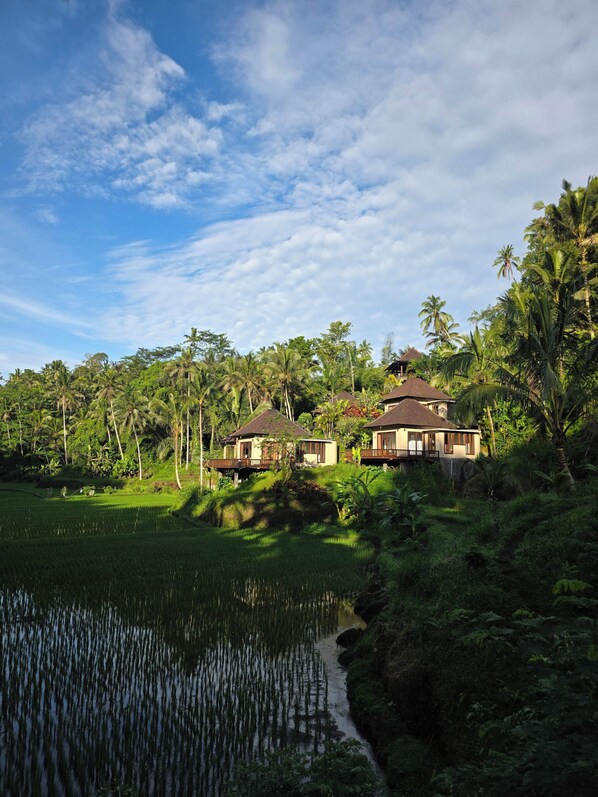 Um resort tropical com vários edifícios no estilo de bangalôs, rodeado por vegetação exuberante e um lago.