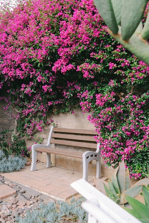 A bench under a flowering bush. - Side-by-Side Homes - Near Zoo & Gaslamp (San Diego)