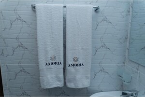 Chuveiro, secador de cabelo, toalhas de banho, sabonete