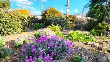 Área da propriedade