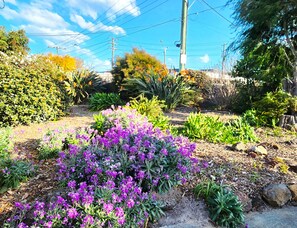 Property grounds - Aloha Bayside Family sleeps 23 Spa Sauna Garden Views (Highett)