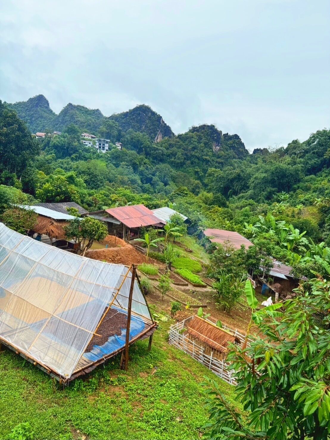 A rural landscape with a greenhouse, thatched-roof structures, and lush greenery.