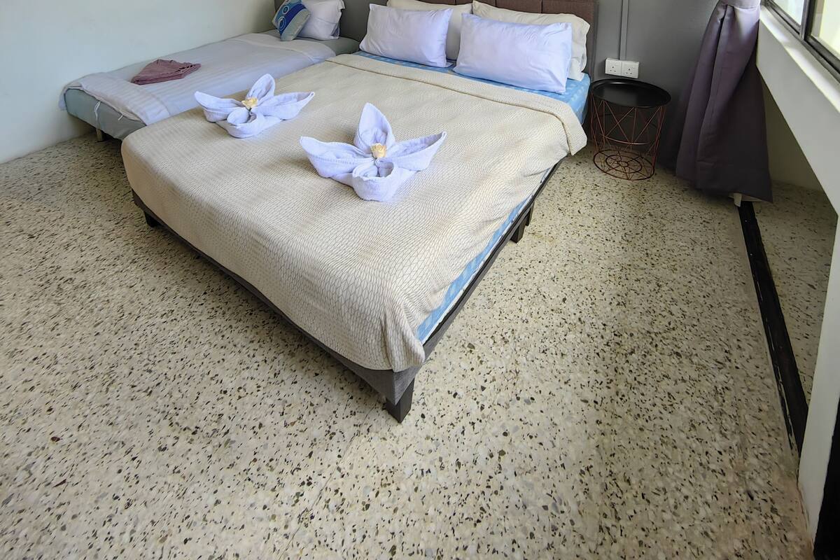 A hotel room with a bed, a ceiling fan, a small shelf with plants, and a window with curtains.