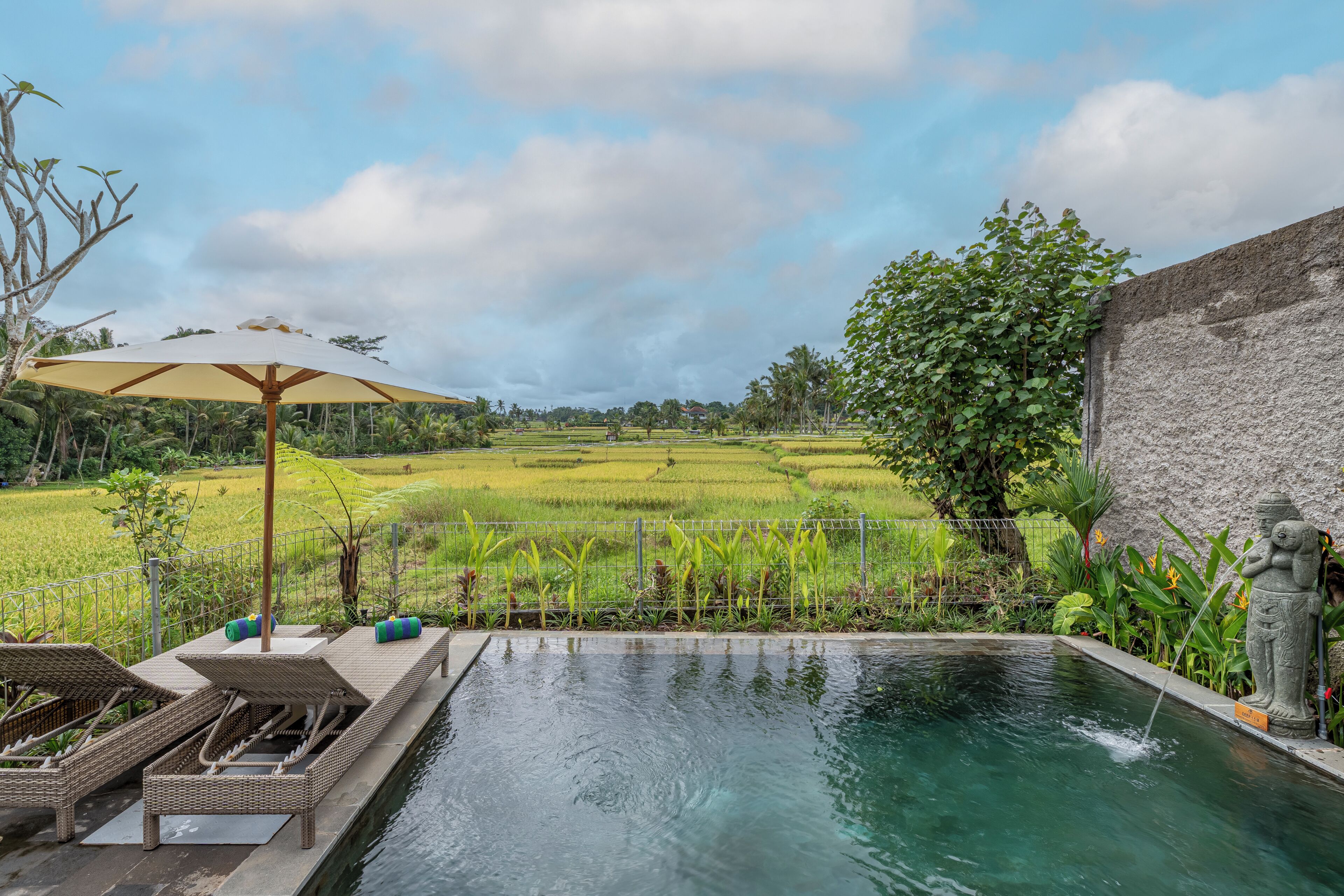 Una piscina con sillones de descanso y una sombrilla, rodeada por un jardín exuberante y vista a un campo de arroz.
