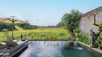 Villa, 1 Bedroom (Rice Field View) | Kolam renang persendirian