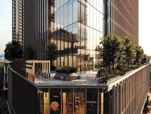 Vista desde la habitación