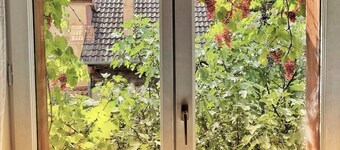 Chez l'Alsacienne 泌