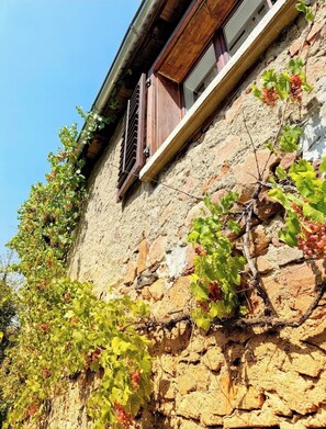 Exterior detail - Chez l'Alsacienne 🥨 (Andlau)