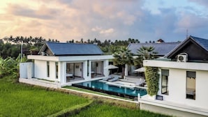 A modern villa with a swimming pool, large windows, and a well-maintained lawn. - Villa Lina by BaliSuperHost (Bali)