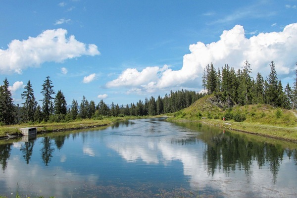 Himmel, Wasser, Wasservorräte, Gewässer, Baum, Natur, Grün, Natürlichen Umgebung, Natürliche Landschaft, Wolke
