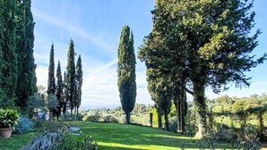 Un jardí ben cuidat amb un camí de pedra, arbres alts i un prat verd.