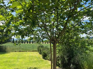 Un sendero bordeado de árboles, con un área verde y montañas a lo lejos.