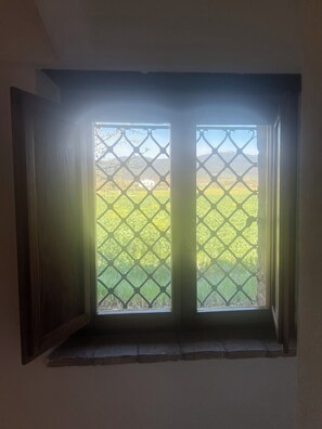 Une fenêtre avec une grille en métal, un cadre en bois et une vue sur un champ verdoyant avec un bâtiment situé au loin.