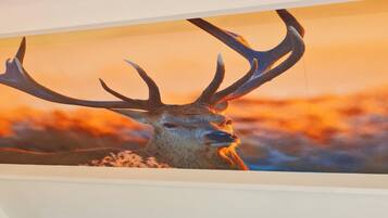 DĂ©tail de lâintĂ©rieur