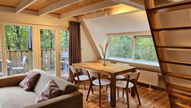 Quarto acolhedor com teto de madeira, mesa de jantar com cadeiras, um sofá e grandes janelas com vista para o exterior.