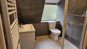 Et moderne badeværelse med bruser, toilet og vask.