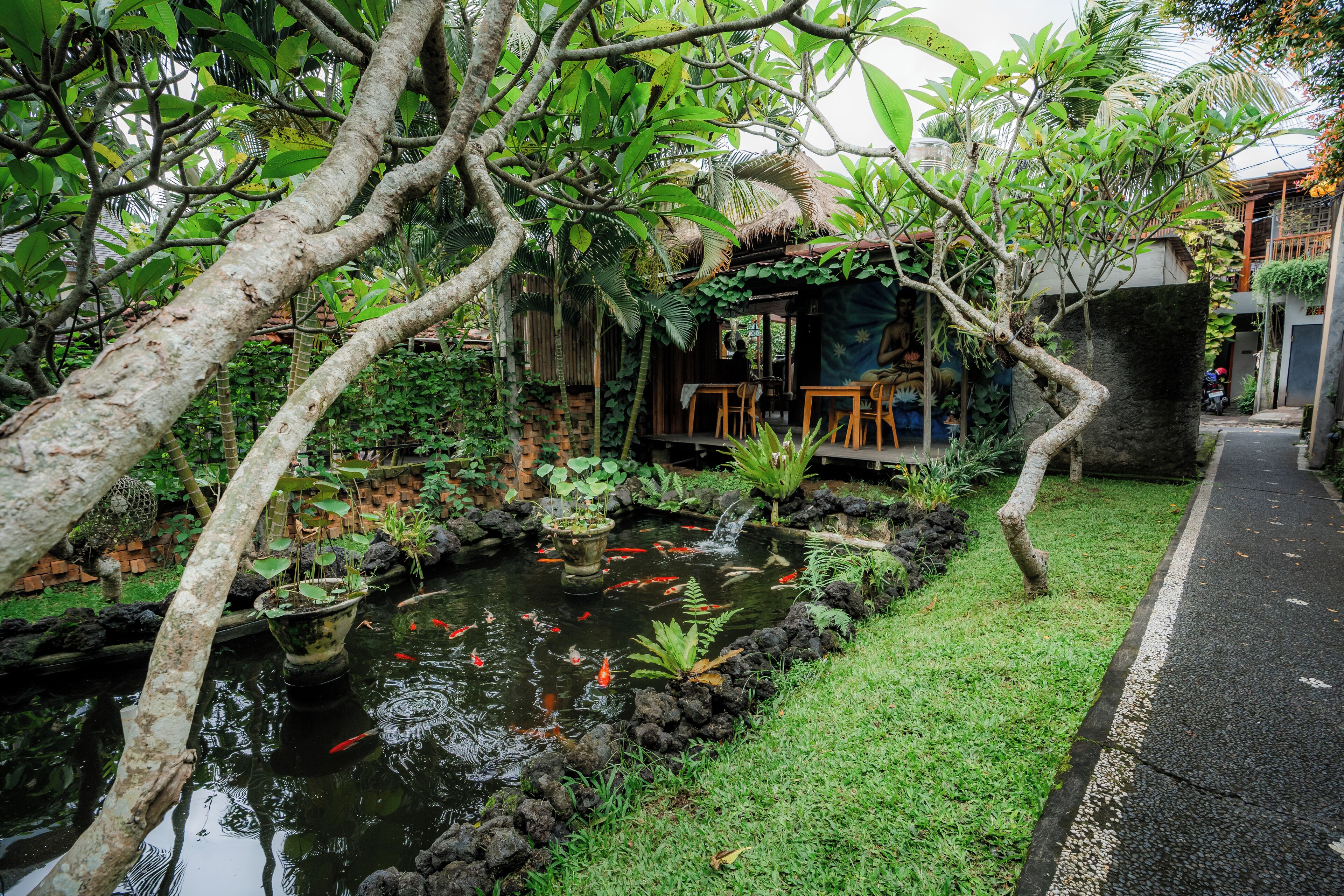 A garden with a pond, trees, and a small bridge.