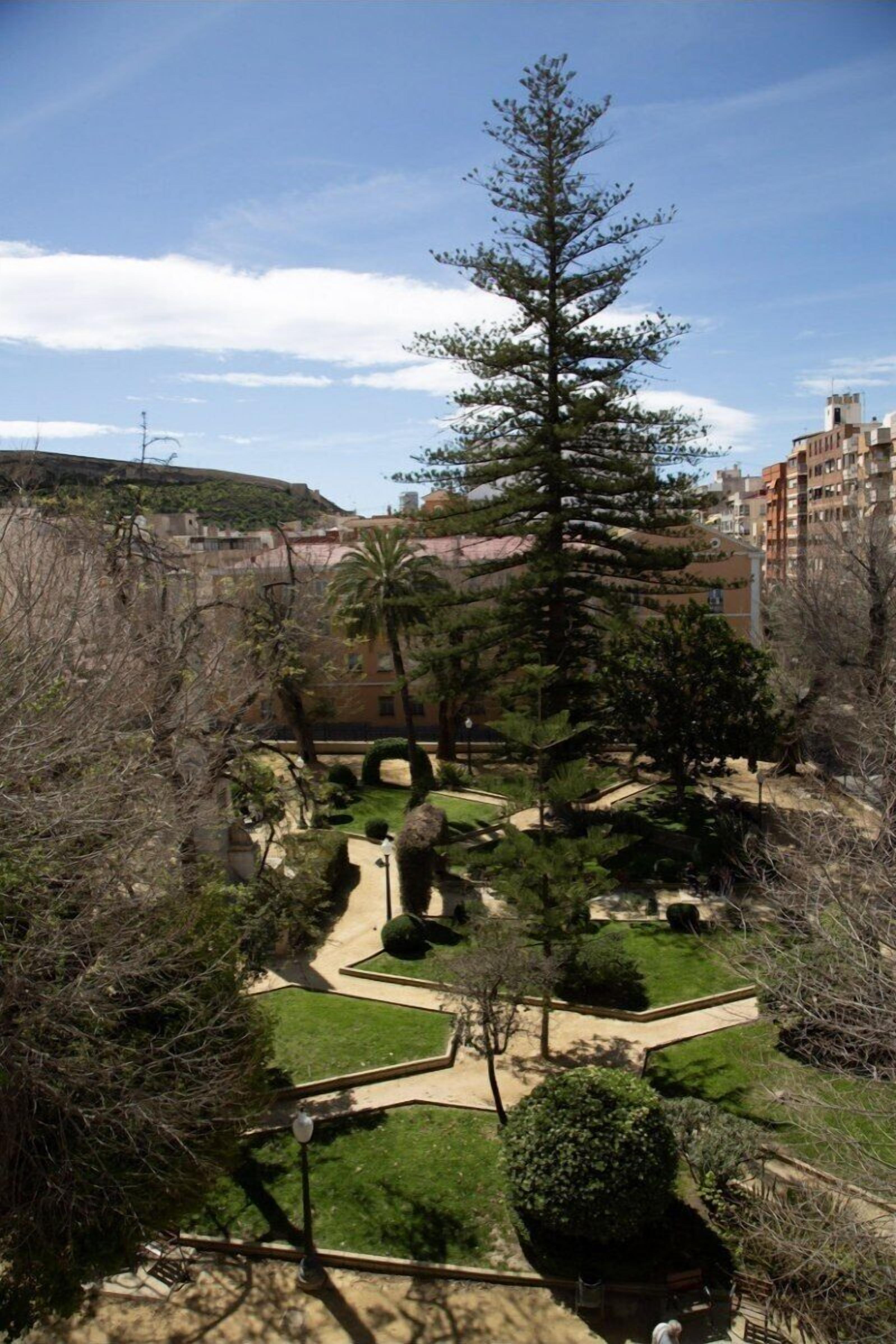 A courtyard with a central pathway, surrounded by various trees and shrubs, with buildings in the background.
