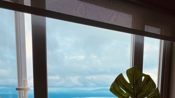 Blick aus einem Fenster mit einem Holztisch, einem schwarzen Drahtkorb und einer großen, grünen Pflanze.