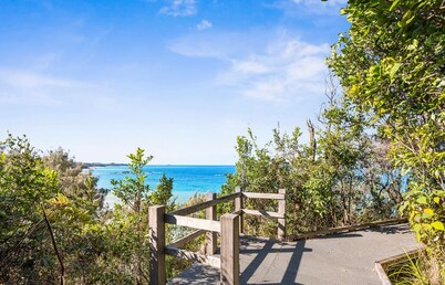 Shell Cove by Charlesworth