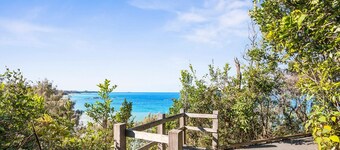 Shell Cove by Charlesworth