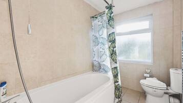 Shower, hair dryer