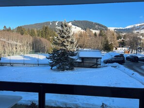 Property grounds - Studio rental at the foot of the slopes (Megève)