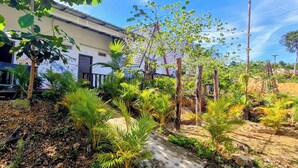 Ein Gebäude mit Gartenanlage, einschließlich verschiedener Pflanzen und einem Weg.