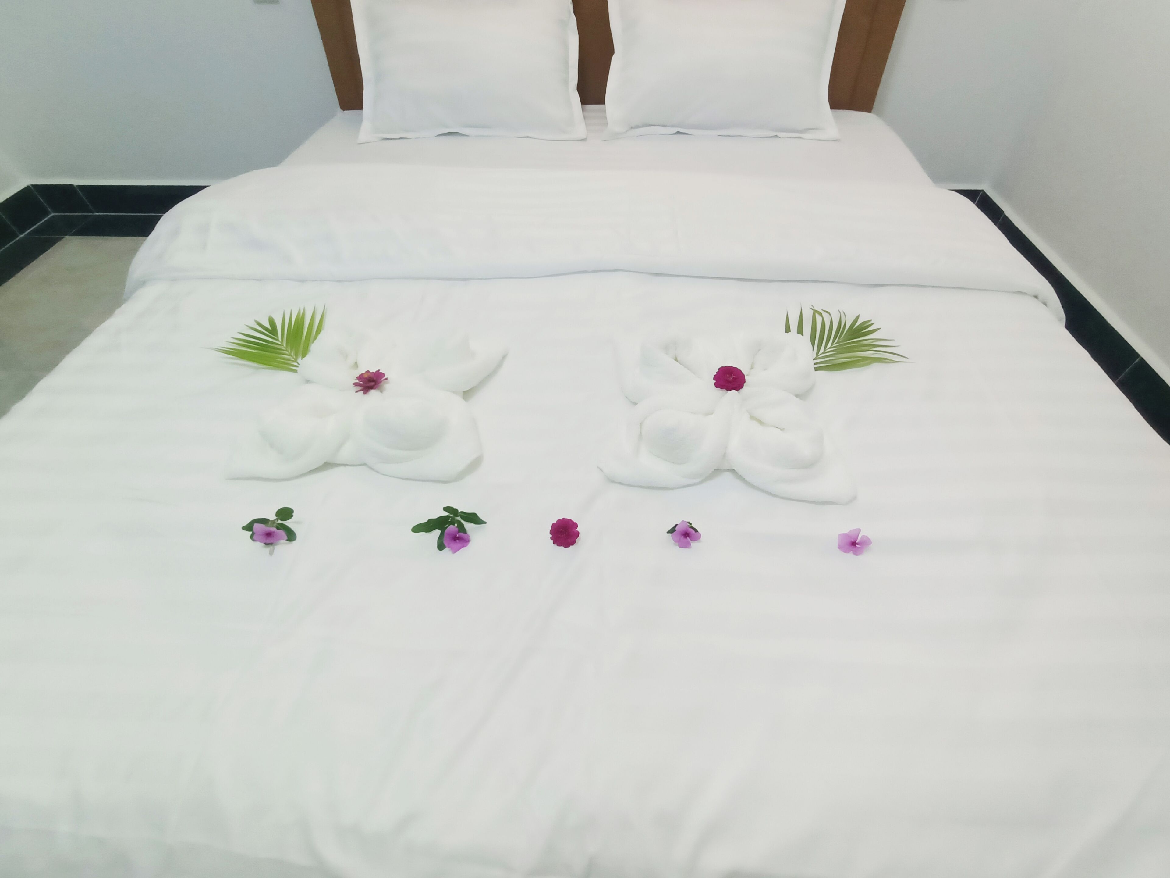 Basic Double Room | Free WiFi