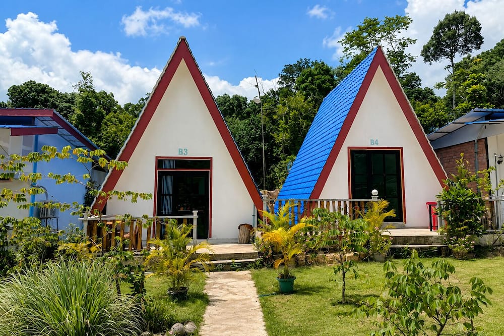 Blue Zone Hostel