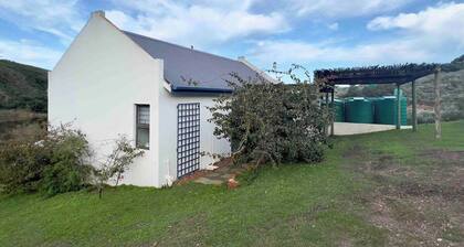 Escape to Riverdance — Nature’s Calm, Comfort’s Warmth